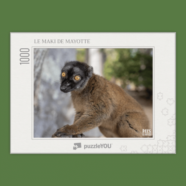 Le Puzzle de Mayotte